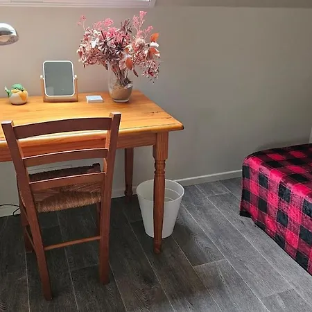 Want Logies: Ruime Loft Daire *